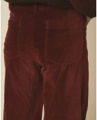 Pantalon en Velours Platine cacao