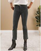 Pantalon en Velours Pants bitume