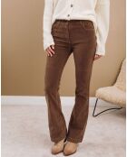Pantalon Pants pecan