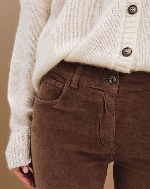 Pantalon Pants pecan