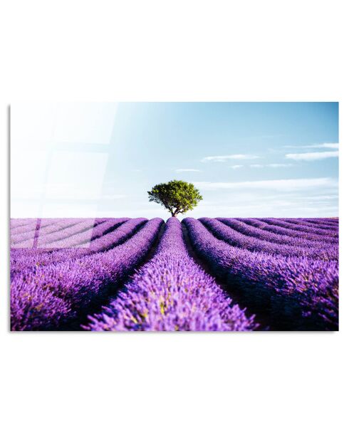 Mehrfarbiger Lavendelfelddruck - 70x100cm