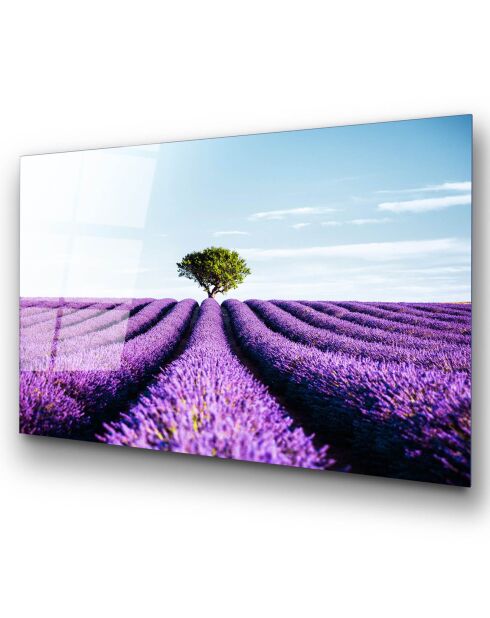 Mehrfarbiger Lavendelfelddruck - 70x100cm