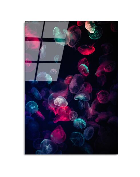 Veelkleurige Medusa glasprint - 70x100cm