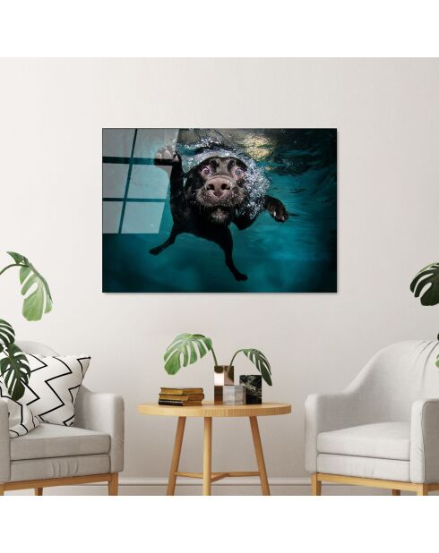 Lámina de perro multicolor en vidrio - 70x100cm