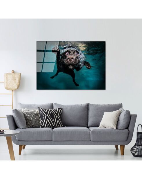 Lámina de perro multicolor en vidrio - 70x100cm