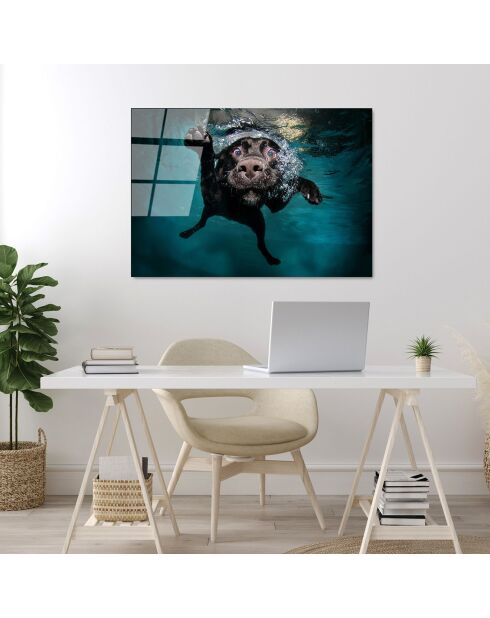 Lámina de perro multicolor en vidrio - 70x100cm