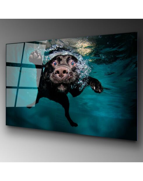 Lámina de perro multicolor en vidrio - 70x100cm