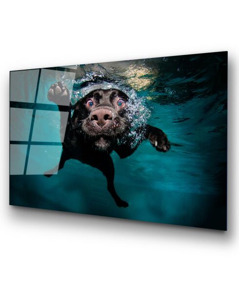 Lámina de perro multicolor en vidrio - 70x100cm