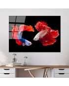 Impression sur verre Poissons multicolore - 70x100cm