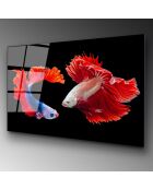 Impression sur verre Poissons multicolore - 70x100cm