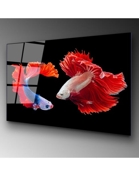 Impression sur verre Poissons multicolore - 70x100cm