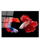 Impression sur verre Poissons multicolore - 70x100cm