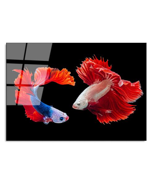 Impression sur verre Poissons multicolore - 70x100cm