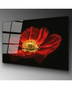 Impression sur verre Fleur multicolore - 70x100cm