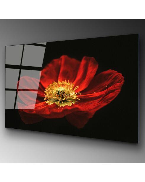 Impression sur verre Fleur multicolore - 70x100cm