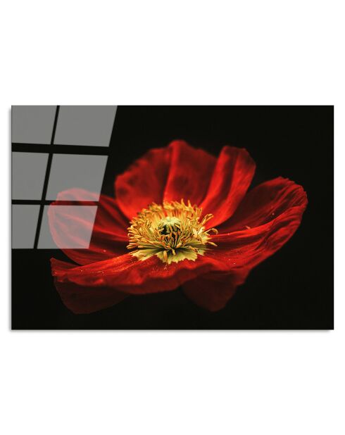 Mehrfarbiger Blumenglasdruck - 70x100cm