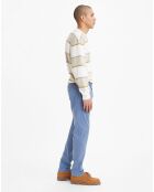 Pantalon Chino en Coton Regular Fit bleu