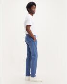 Pantalon Chino en Coton Regular Fit bleu