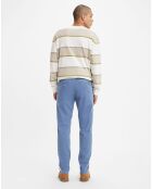 Pantalon Chino en Coton Regular Fit bleu