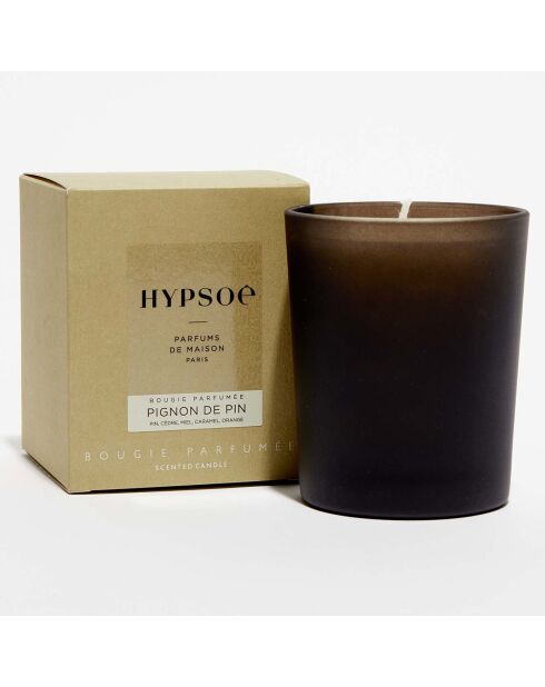 Bougie parfumée verre coloré dépoli Pignon de Pin - 1 mèche 50h
