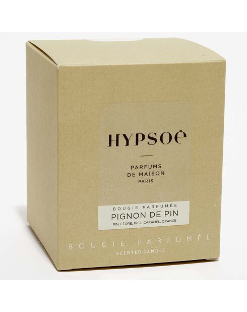 Bougie parfumée verre coloré dépoli Pignon de Pin - 1 mèche 50h