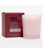 Bougie parfumée verre coloré dépoli Fleurs Banches - 1 mèche 50h