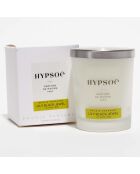 Bougie parfumée Silver Cover Lily Back Jewell - 1 mèche 50h