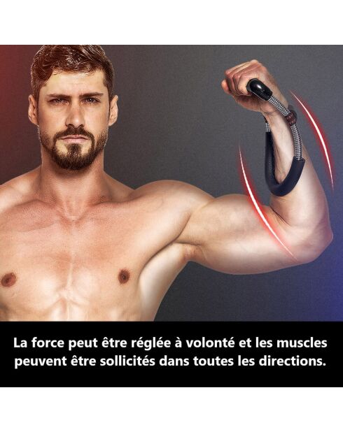 Renforcement du bras noir