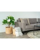 2 cestini Natural Passo