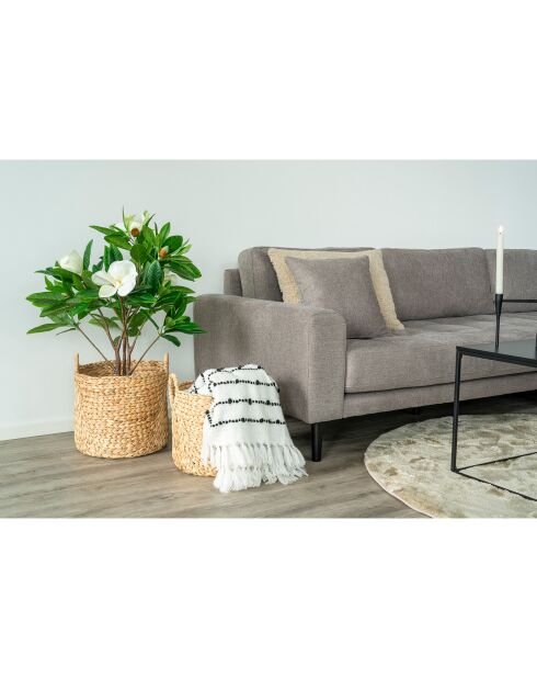 2 cestas Natural Passo