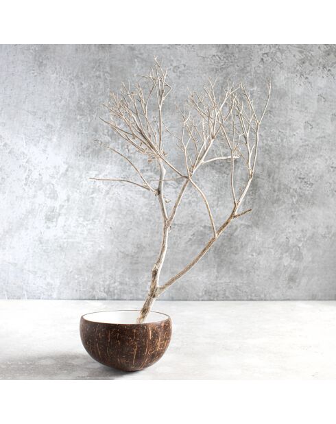 Bol coco naturel/blanc - D.15 cm