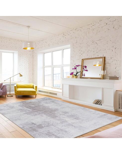 Tapis d'intérieur gris