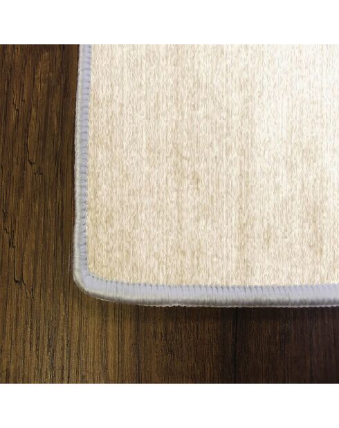 Tapis d'intérieur  multicolore