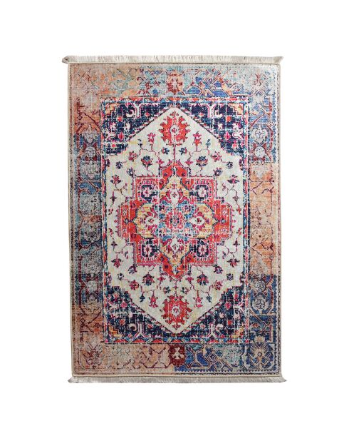 Tapis d'intérieur multicolore