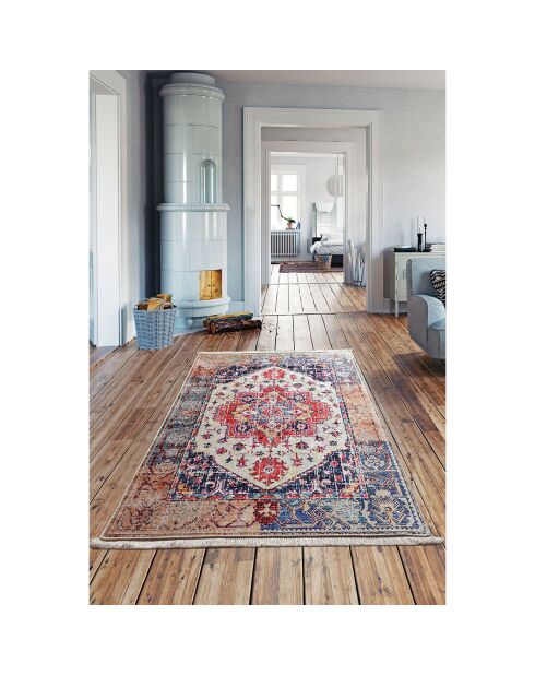 Tapis d'intérieur multicolore