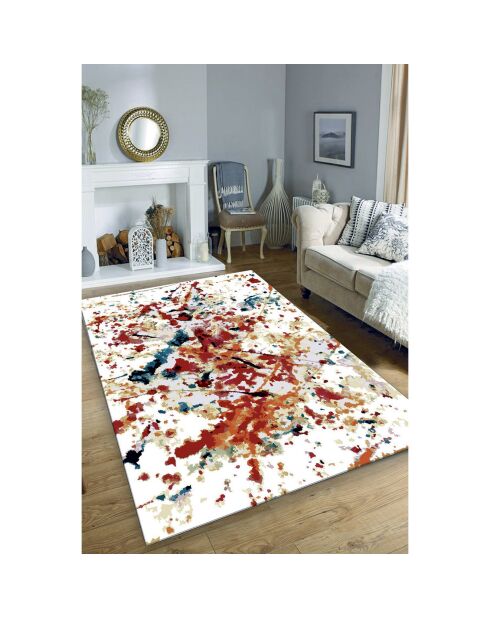 Tapis d'intérieur multicolore