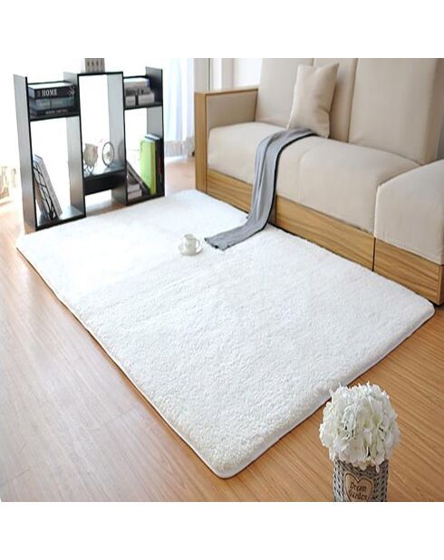 Tapis d'intérieur blanc