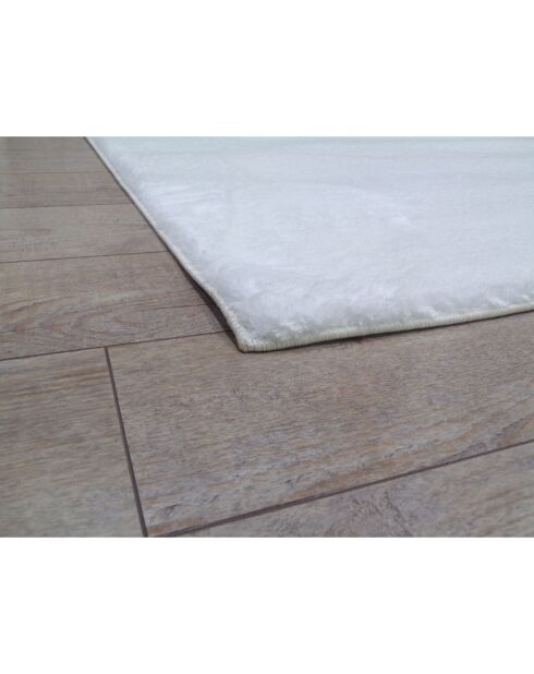 Tapis d'intérieur blanc