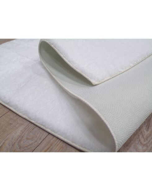Tapis d'intérieur blanc