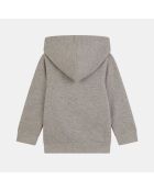 Gilet zippé en Coton à capuche Omarcel gris