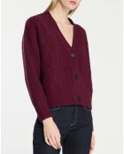 Cardigan en Laine & Cachemire Fabiola T col V bordeaux