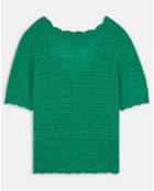 Top/Pull en maille ajourée Amar vert