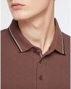 Polo en Coton bio Dolobas Heritage marron foncé