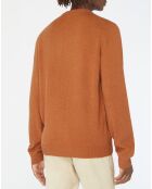 Pull 100% Laine responsable d'agneau Toolon col ras du cou marron clair