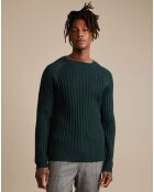 Pull 100% Laine Arist vert foncé