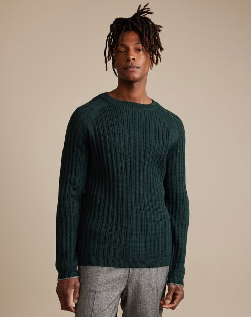 Pull 100% Laine Arist vert foncé