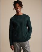 Pull 100% Laine Arist vert foncé