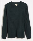 Pull 100% Laine Arist vert foncé