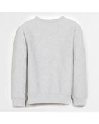 Sweat Fago gris clair