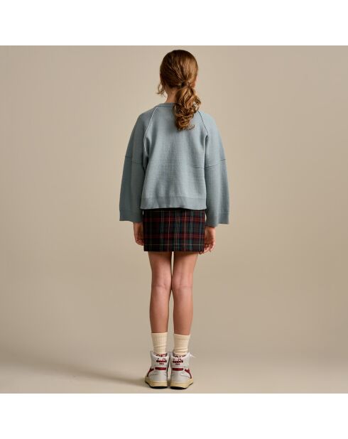 Pull sweat en Coton & Laine mélangés Goumca bleu clair